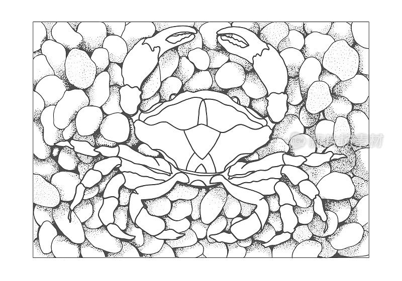 Crab on pebbles outline. Turtle coloring book, hand drawn for relaxation and stress relief. Coloring book for adults with doodles, zentangle design elements.